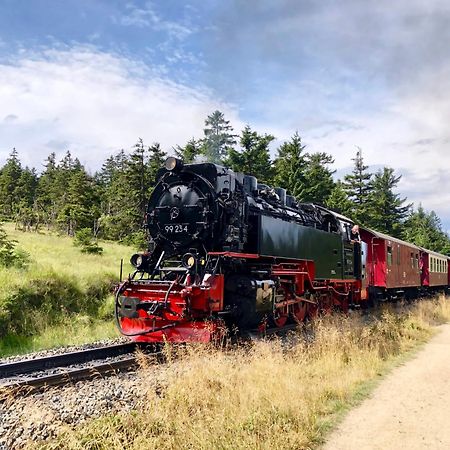 Fewo Fuchsbau Mit Dampfdusche #Kamin#Innenstadtnaehe#Netflix Von Harztraveler Bad Harzburg Exterior photo